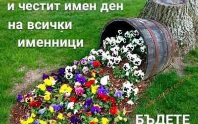 Цветница 🌺🌷❤️