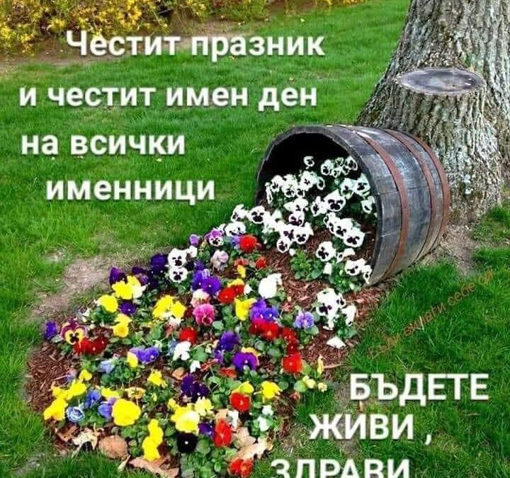 Цветница 🌺🌷❤️